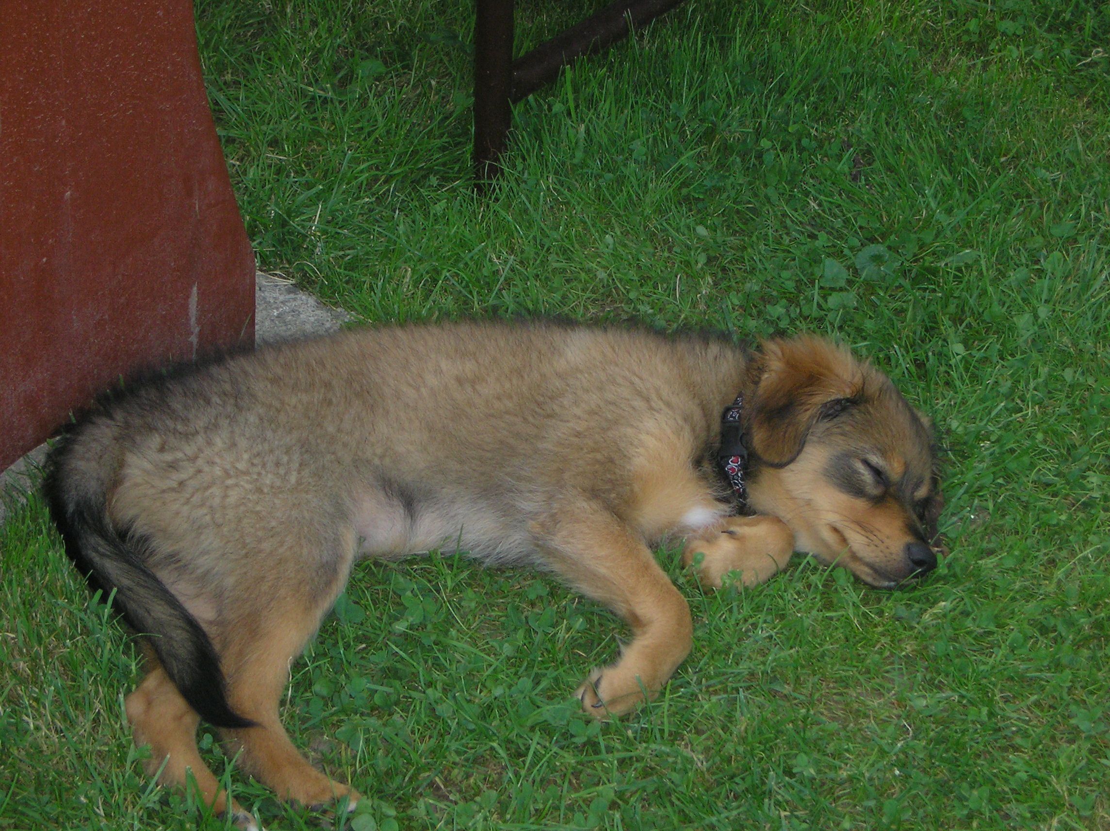 P8120120.JPG